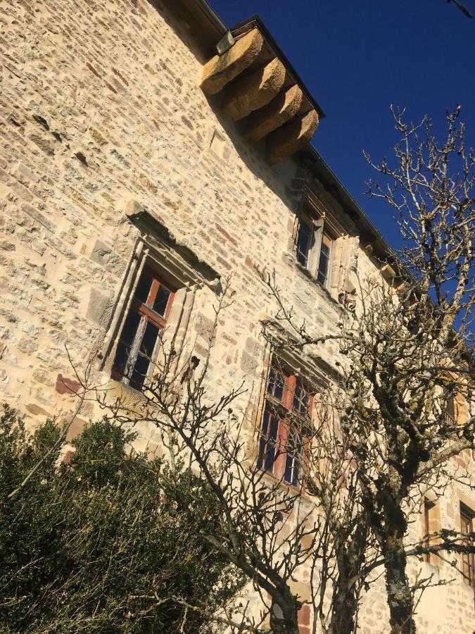 Le Chateau De Lunel Saint-Félix-de-Lunel Екстериор снимка